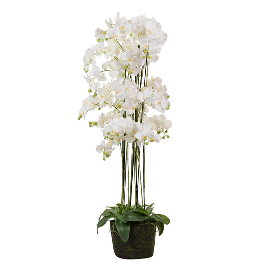 ORQUIDEA POLIESTER BLANCA 70x70x155 CM Ref. 486007