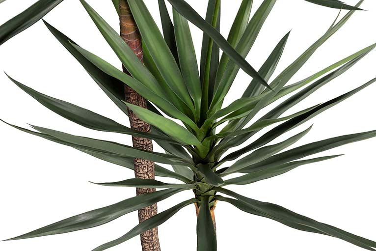 PLANTA YUCCA 90x70x180 CM Ref. 502008