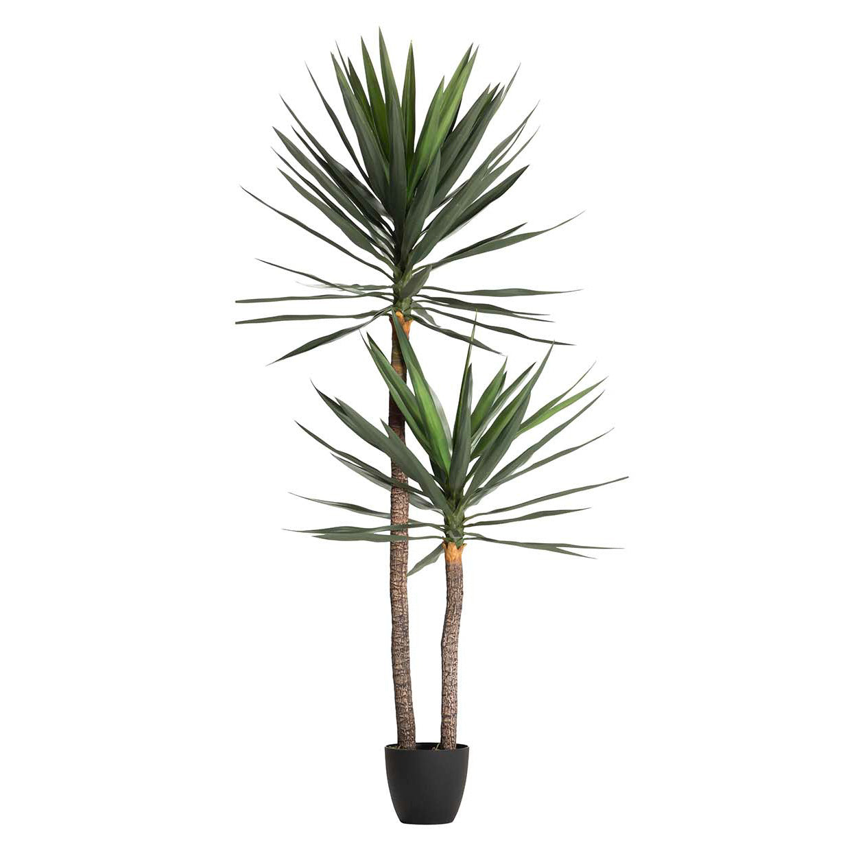 PLANTA YUCCA 90x70x180 CM Ref. 502008