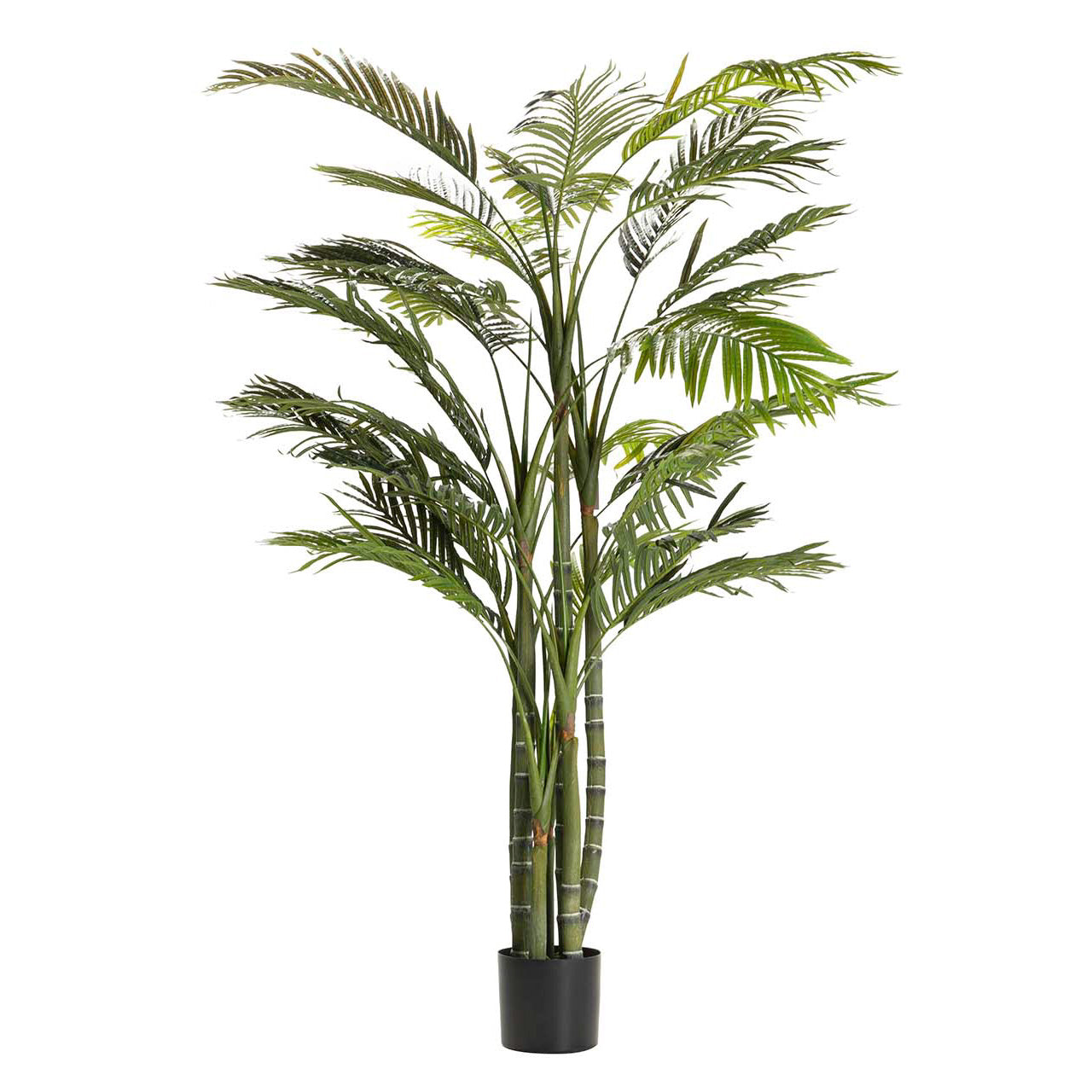 PLANTA PALMERA ARECA 110x110x190 CM Ref. 502010