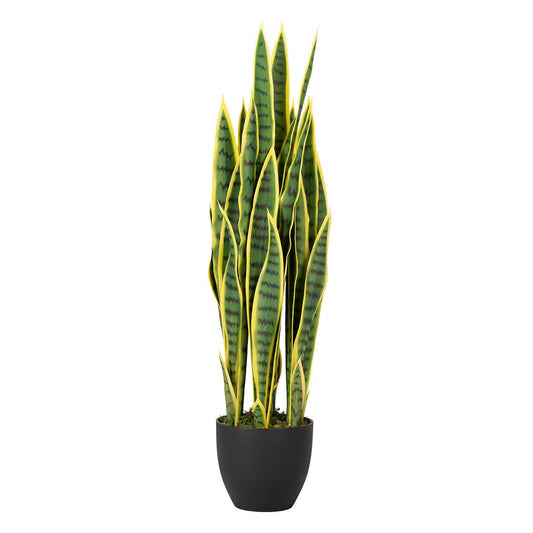 PLANTA SANSEWIERIA TRIFASCIATA 25x25x85 CM Ref. 502020