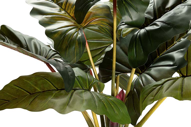 PLANTA COLOCASIA ESCULENTA 130x130x165 CM Ref. 502022