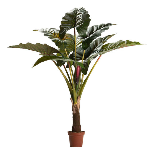 PLANTA COLOCASIA ESCULENTA 130x130x165 CM Ref. 502022