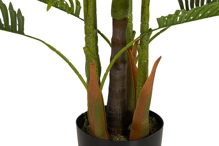 PLANTA PLAMERA ARECA CON MACETA 80x80x185 CM Ref. 502053