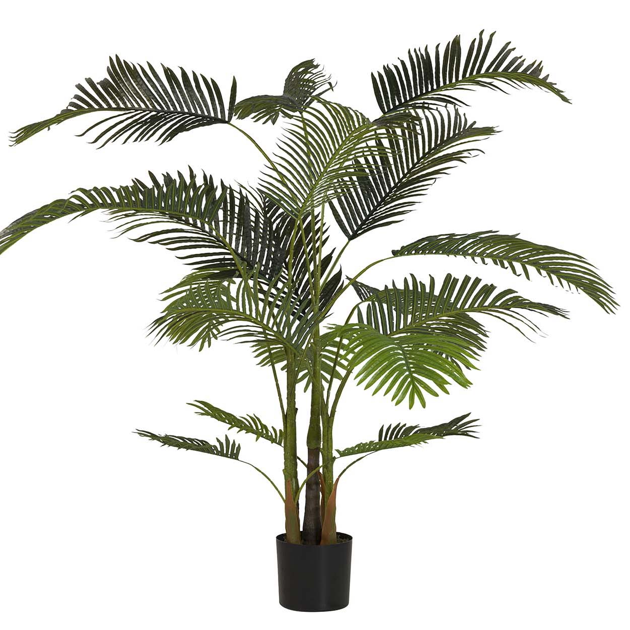 PLANTA PLAMERA ARECA CON MACETA 80x80x185 CM Ref. 502053