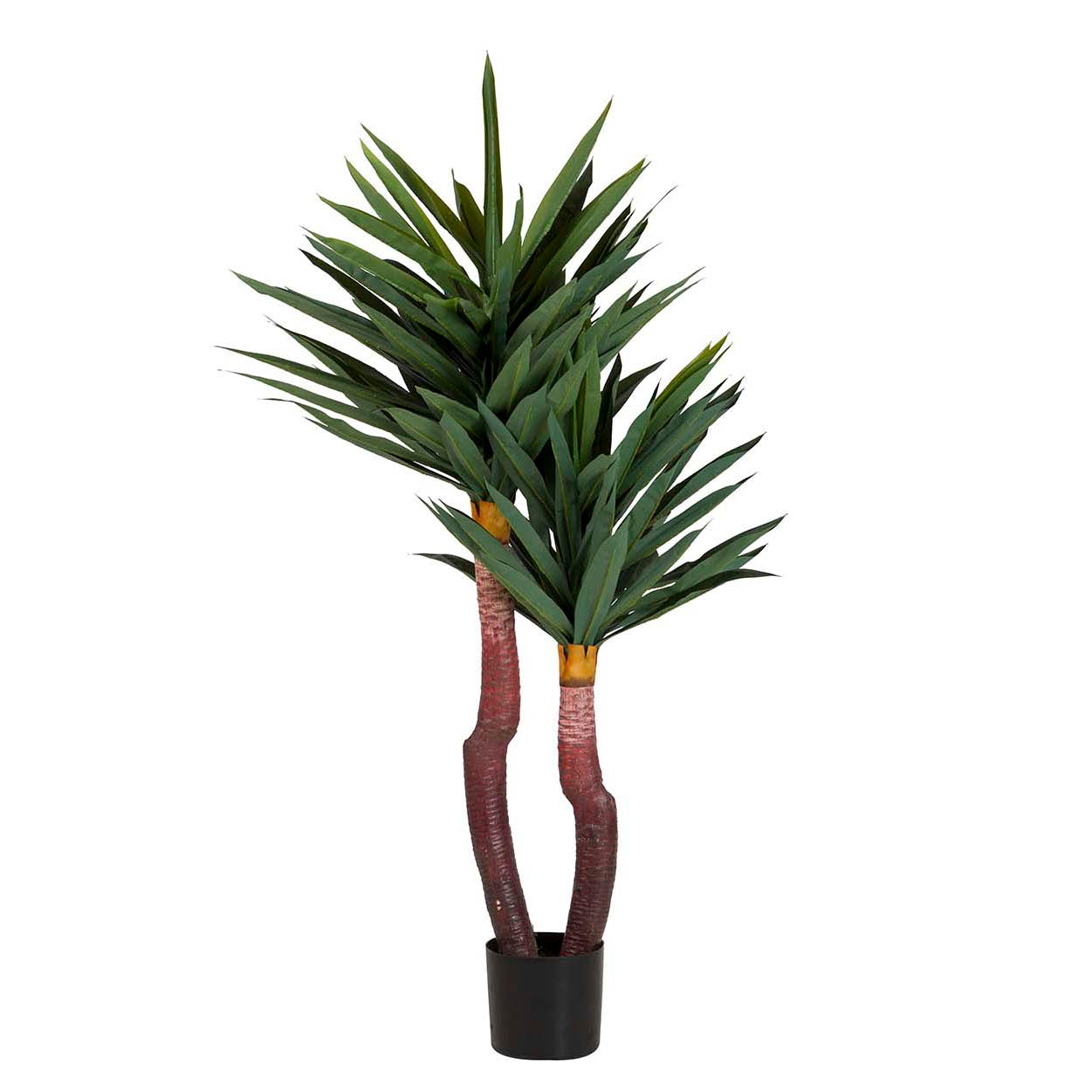 PLANTA YUCCA GLORIOSA CON MACETA 55x55x145 CM Ref. 502063